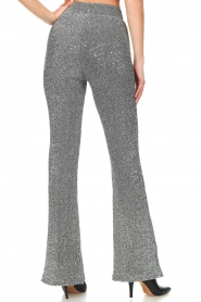 Dante 6 |  Flared sequin pants Pulser | silver  | Picture 6