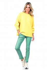 Ibana |  Stretch leather pants Colette | green  | Picture 3