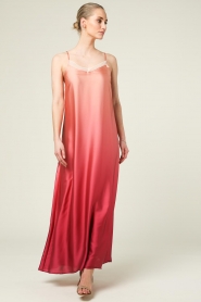 Liu Jo | Ombre maxi-jurk Camelia | roze  | Afbeelding 3
