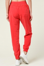 Dante 6 |  Crêpe pants Charly | red  | Picture 7