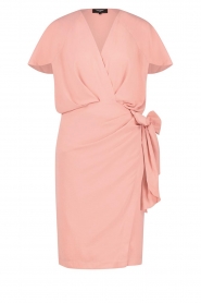 Freebird |  Wrap dress Kolette | pink