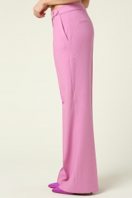 Aaiko | Flared pantalon Vantalle | roze  | Afbeelding 5