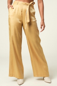 Aaiko |  Sheen trousers Searle | camel  | Picture 4