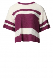  Cotton sweater Pagaville | purple