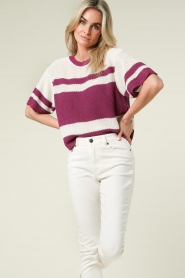 American Vintage | Katoenen trui Pagaville | paars  | Afbeelding 4