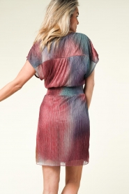 Dante 6 |  Transparent dress Luster | multi  | Picture 7