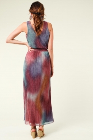 Dante 6 :  Maxi-dress with print Delany | multi - img8