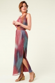 Dante 6 :  Maxi-dress with print Delany | multi - img6
