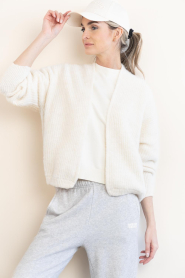 American Vintage | Gebreid vest East | naturel | Afbeelding 9