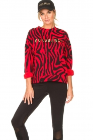 Goldbergh |  Zebra printed sweater Tifani | red  | Picture 2