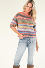 Lollys Laundry |  Knitted sweater Fairhaven | multi  | Picture 2