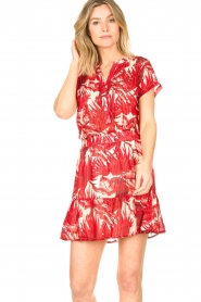 Lollys Laundry |  Leaf print skirt with lurex Alexa | red  | Picture 5