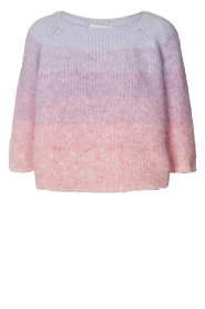  Cropped ombre sweater Tortuga | pink