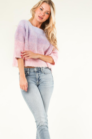 Lollys Laundry |  Cropped ombre sweater Tortuga | pink  | Picture 2