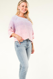 Lollys Laundry :  Cropped ombre sweater Tortuga | pink - img6