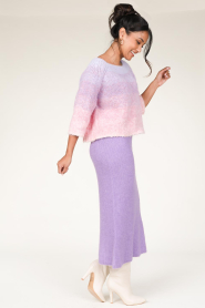 Lollys Laundry |  Cropped ombre sweater Tortuga | pink  | Picture 4