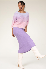 Lollys Laundry |  Cropped ombre sweater Tortuga | pink  | Picture 3