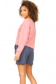 Blaumax |  Soft sweater Ash | pink  | Picture 7