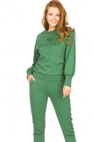 Dante 6 |  Cotton sweater with logo Bold | green  | Picture 4