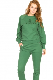 Dante 6 |  Cotton sweater with logo Bold | green  | Picture 5