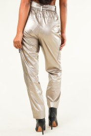 Aaiko |  Cargo pants Bibi | metallic  | Picture 7