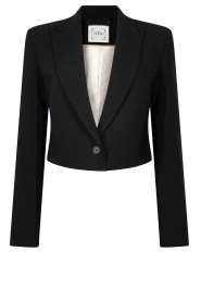 Aaiko |  Cropped blazer Ariel | black  | Picture 1