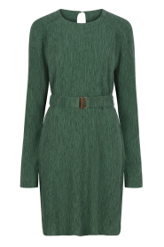 Dante 6 |  Plisse dress in tencell blend Anour | green  | Picture 1