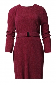 Dante 6 |  Plisse dress in tencell blend Anour | pink
