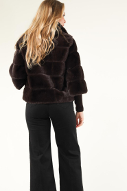 Alter Ego |  Faux fur jacket Roxy | brown  | Picture 8