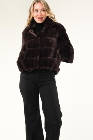 Alter Ego |  Faux fur jacket Roxy | brown  | Picture 6