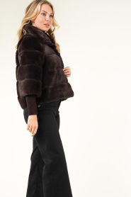 Alter Ego |  Faux fur jacket Roxy | brown  | Picture 7