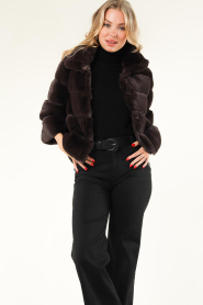 Alter Ego |  Faux fur jacket Roxy | brown  | Picture 5