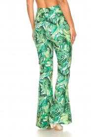Fracomina |  Flared pants with leaves print Mowi | green  | Picture 7