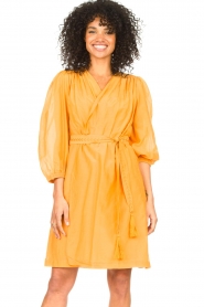 Dante 6 |  Dress with puff sleeves Alba | orange  | Picture 2
