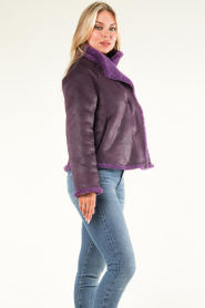 STUDIO AR |  Reversible teddy jacket Mallow | purple  | Picture 7