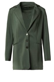 D-ETOILES CASIOPE |  Travelwear shiny blazer Dominique shine | green  | Picture 1