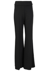 D-ETOILES CASIOPE | Lurex tricot broek Fine | zwart  | Afbeelding 1