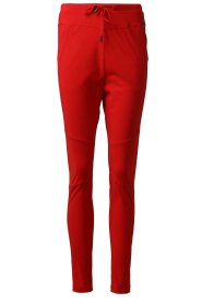 D-ETOILES CASIOPE |  Travelwear pants Guet | red