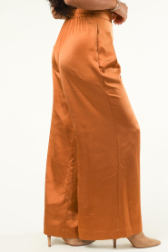Knit-ted |  Pants with satin look Nica | camel  | Picture 5