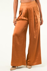 Knit-ted |  Pants with satin look Nica | camel  | Picture 4