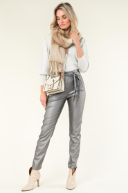 Knit-ted |  Faux leather pants Francis | metallic  | Picture 5