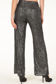 Second Female |  Pants with sequins Moonshine | grey  | Picture 7