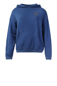  Soft hoodie Izubird | blue