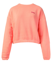 American Vintage | Sweater met logo Izubird | oranje  | Afbeelding 1