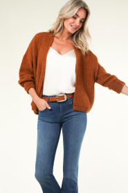 American Vintage |  Soft cardigan East | brown  | Picture 4