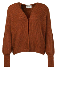 American Vintage |  Soft cardigan East | brown  | Picture 1