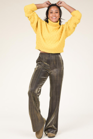 Aaiko |  Stretch shiny trousers Sadi | gold  | Picture 2