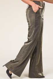 Aaiko |  Stretch shiny trousers Sadi | gold  | Picture 5