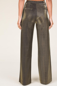 Aaiko |  Stretch shiny trousers Sadi | gold  | Picture 6