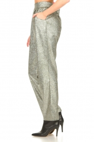 Lolly's Laundry |  Glitter flared pants Gonna | silver  | Picture 5